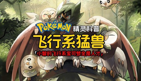 神奇宝贝飞行系克什么