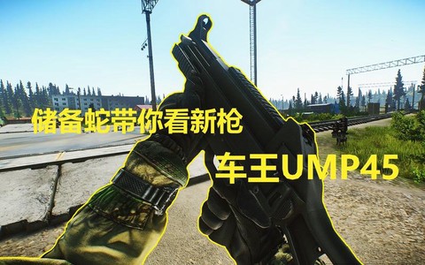 绝地求生车王是什么枪[图1]